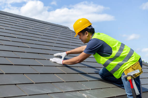 Best Roof Ventilation Installation  in Elkins, AR