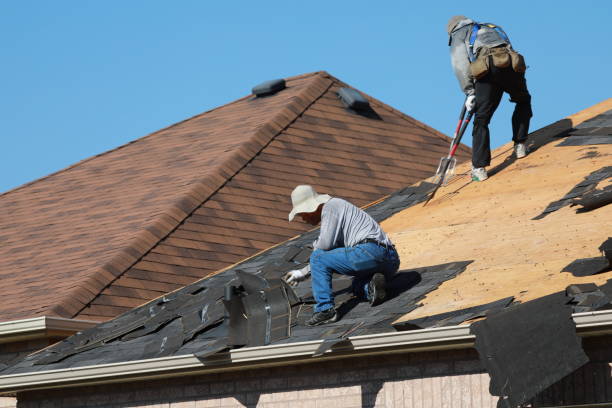 Best Solar Panel Roofing Installation  in Elkins, AR